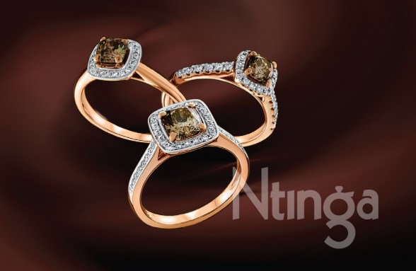 Ntinga Bus card v2 200515 art-1